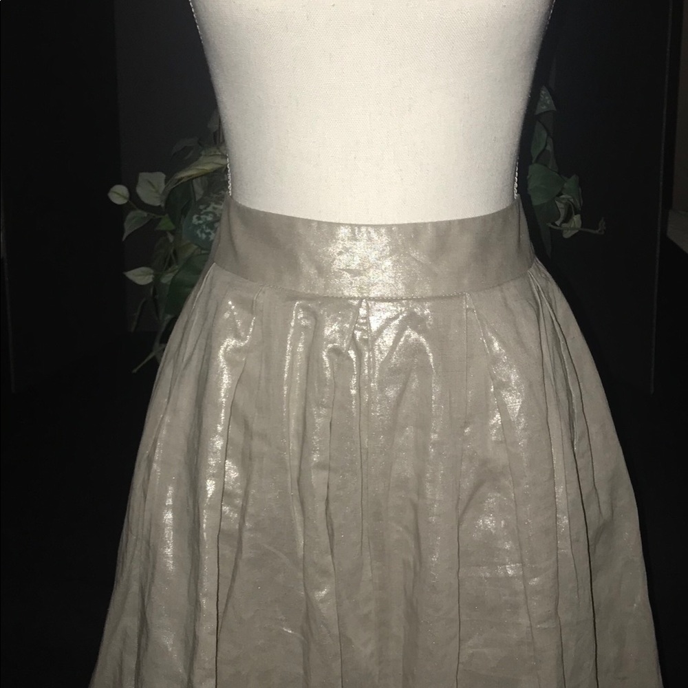 Banana Republic Shimmery Silver Skirt